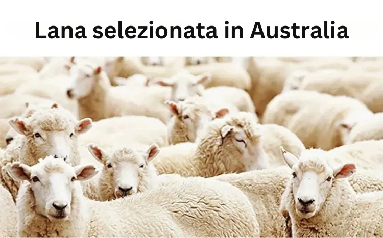 Immagine prodotto 10